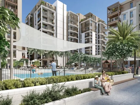 Mangrove at Creek Beach